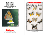 and Moths Butterflies and Moths LEVELED BOOK • S