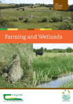 Farming and Wetlands