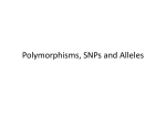Polymorphisms, SNPs and Alleles