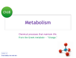 Ch18a: Metabolism