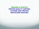 ORGANELLE-SPECIFIC PROTEIN QUALITY CONTROL SYSTEMS
