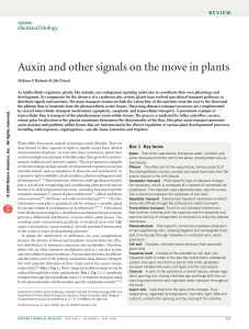 Auxin and other signals on the move in plants