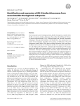 Identification and expression of GH