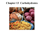 Chapter 13 Carbohydrates