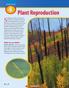 B: Chapter 4: Plant Reproduction