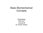 Basic Biomechanical Concepts