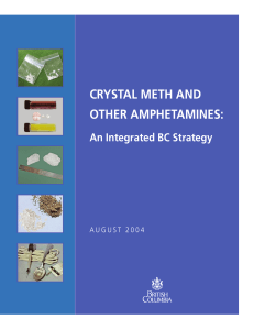 Crystal Meth and Other Amphetamines: An Integrated BC