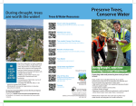 Preserve Trees, Conserve Water Preserve Trees