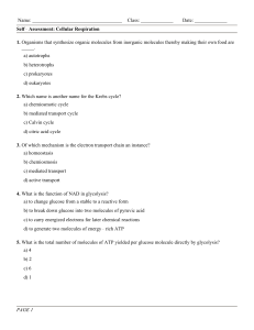 1. Organisms that synthesize organic molecules from inorganic