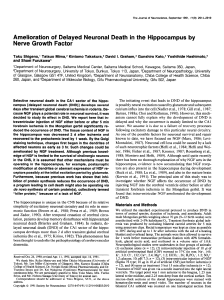 Amelioration of Delayed Neuronal Death in the Hippocampus by