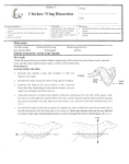 Chicken Wing Dissection - Mrs. Brown