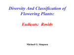 Diversity And Classification of Flowering Plants: