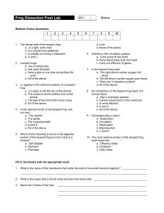 Frog Dissection Post Lab