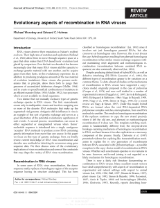 Evolutionary aspects of recombination in RNA viruses