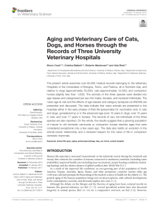 Aging and Veterinary Care of Cats, Dogs, and Horses through the
