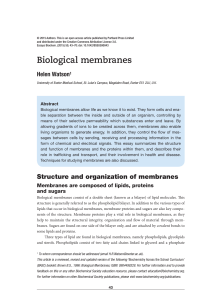 Biological membranes - Essays in Biochemistry