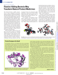 Fluorine-Adding Bacteria May Transform Natural Product Medicines