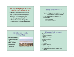 Intertidal communities