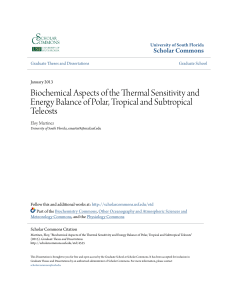 Biochemical Aspects of the Thermal Sensitivity and Energy Balance