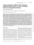 Lactase persistence DNA variant enhances