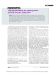 Targeting a Novel ER/HOXB7 Signaling Loop in