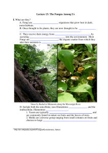 Lecture 13: The Fungus Among Us I. What are they? A. Fungi are
