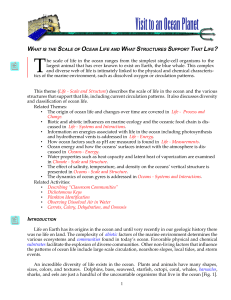 1 The scale of life in the ocean ranges from the simplest single