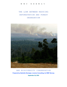 the link between reducing deforestation and forest degradation and