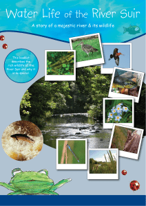 Water Life of the River Suir Kids Brochure