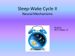Sleep-Wake Cycle II