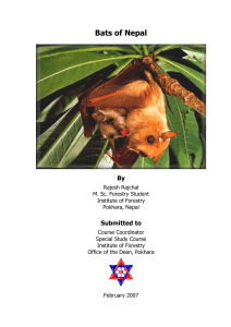 Bats of Nepal - forestrynepal