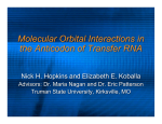 Molecular Orbital Interactions in the Anticodon of Transfer RNA