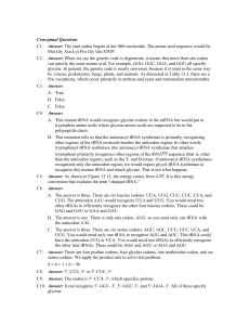 Conceptual Questions C1. Answer: The start codon begins at the