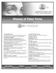 Glossary of Vision Terms