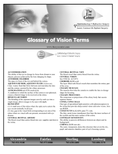 Glossary of Vision Terms