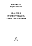 atlas of the honeydew producing conifer aphids of