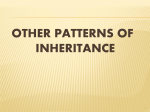 Other Patterns of Inheritance