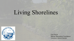 Living Shorelines - Clean Ocean Action