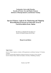 Spectral Mixture Analysis for Monitoring and Mapping Desertification