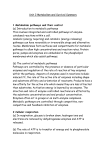 Unit 2 Metabolism and Survival Summary