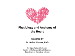 Physiology and Anatomy of the Heart - An