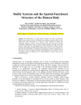 Bodily Systems and the Spatial-Functional
