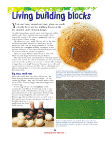 Living building blocks