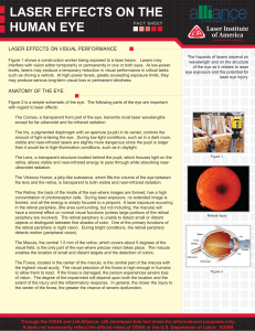 laser effects on the human eye