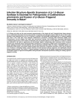 Infection Structure–Specific Expression of ß-1,3