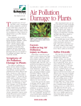 Air Pollution Damage to Plants - Alabama Cooperative Extension