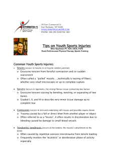 Tips on Youth Sports Injuries