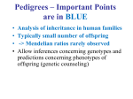Pedigrees – Important Points are in BLUE