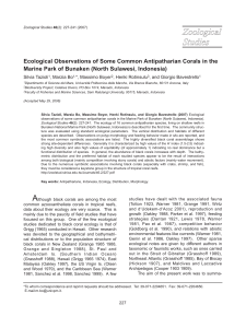 Ecological Observations of Some Common Antipatharian Corals in