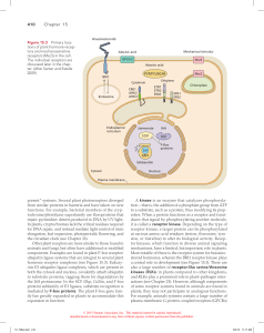 410 Chapter 15 ponent” systems. Several plant photoreceptors